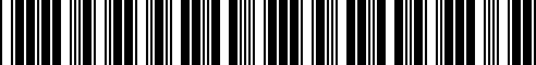 Barcode for 31106780613