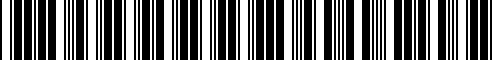 Barcode for 31121135605