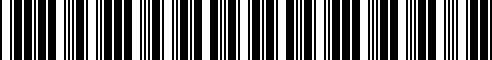 Barcode for 31316851333