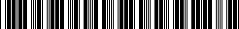 Barcode for 31356750703