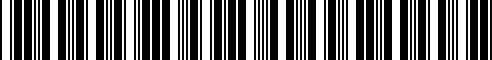Barcode for 65138369065